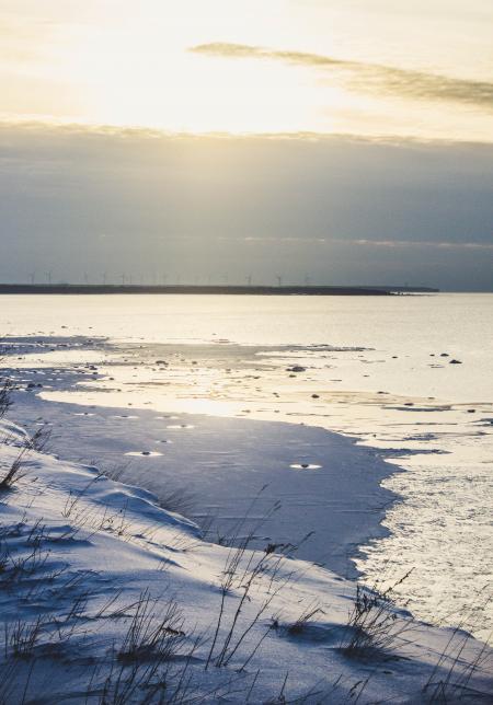 Seashore in Distant of Sea Dock