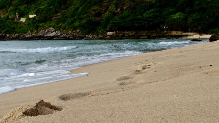 Seashore Near Mountain