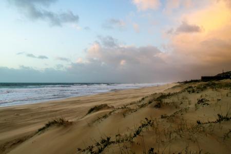 Seashore Under Blue Sky and White Clouds View