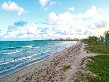 Seashore With Green Palm Trees