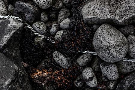 Seaweed and Rocks Texture