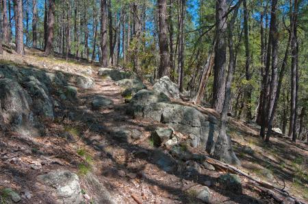 Secret Mountain Trail