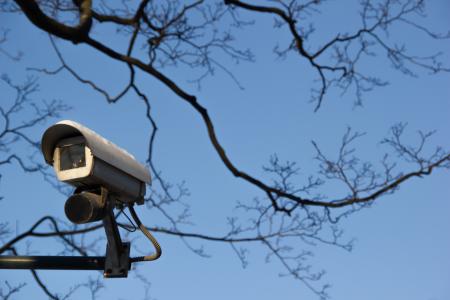 Security camera and tree