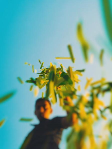 Selective Focus Photo of Man Dropping Grasses