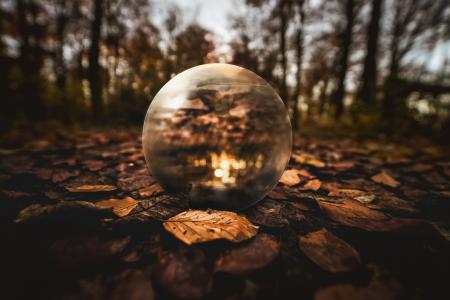 Selective Focus Photography of Clear Glass Ball on Brown Leaves on Ground