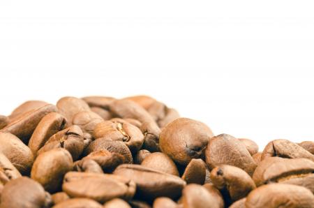 Selective Focus Photography of Coffee Beans