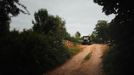 Semi Truck Surrounded by Green Leaf Trees Under Clear Gray Sky