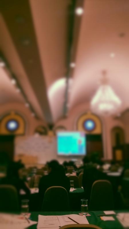 Seminar / Conference Audience