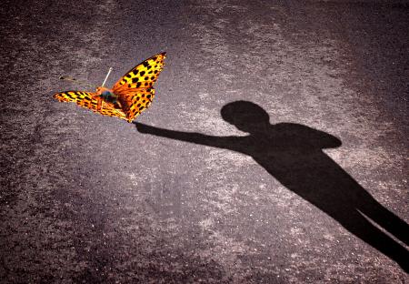 Shadow of a little boy touching a butterfly