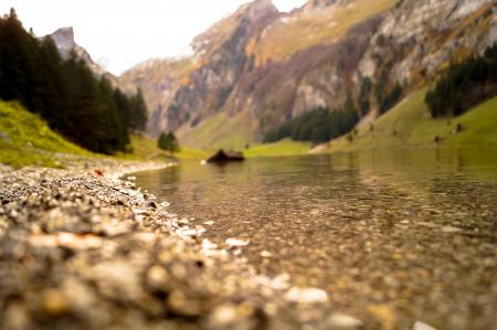 Shallow Focus Photography of Body of Water Near Mountain