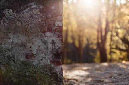 Shallow Focus Photography of Brown and Gray Bricked Wall