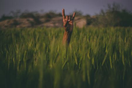 Shallow Focus Photography of Person Hand