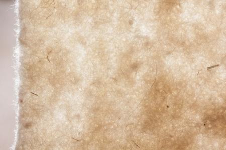 Sheep Wool Fabric Texture