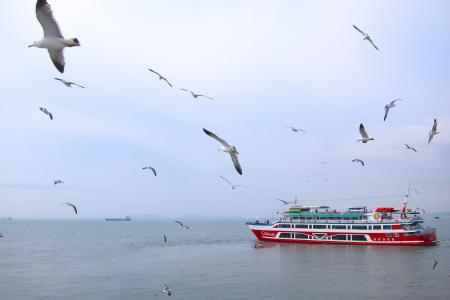 Ship in the Sea