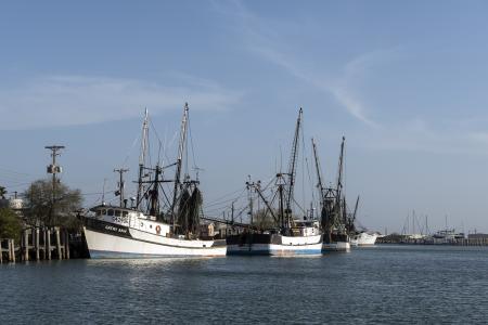 Shrimp Boats