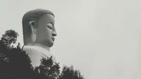 Side View Photo of Gautama Buddha Statue