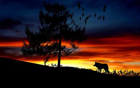 Silhouette Dog on Landscape Against Romantic Sky at Sunset