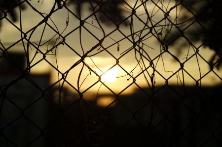 Silhouette Fence during Sunset