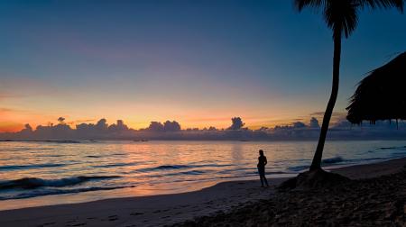 Silhouette of a Person Near Coconut Tree on Shore during Golden Hour