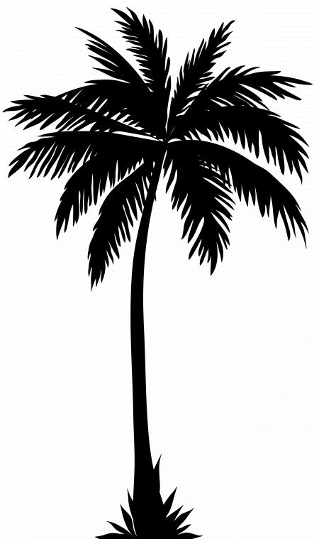Tropical Palms Silhouette