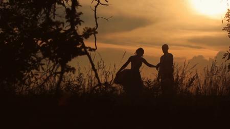 Silhouette of Field