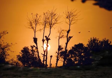 Silhouette of Pants on Sunset