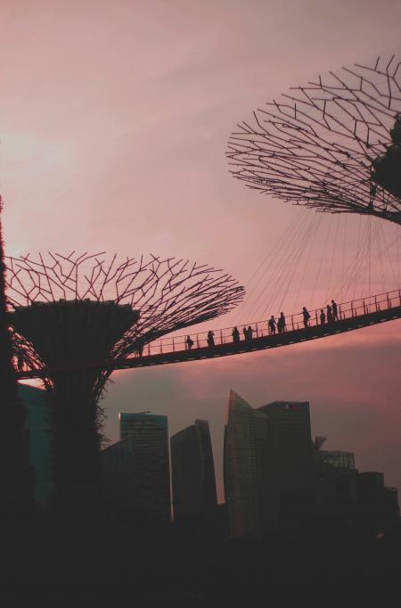 Silhouette of People on Bridge at Sunset