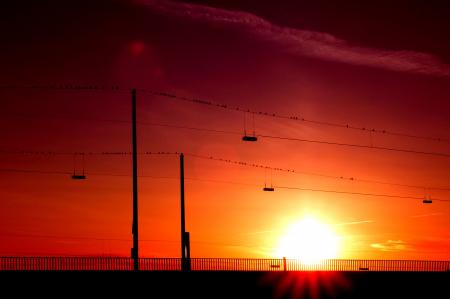 Silhouette of Posts Under Orange Sunset