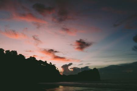 Silhouette of Tall Trees Near Calm Body of Water Under Cloudy Sky at Golden Hour