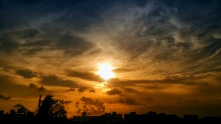 Silhouette of Trees and Buildings during Golden Hour