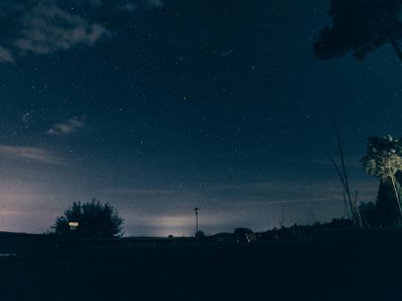 Silhouette of Trees and Buildings Under Starry Skies