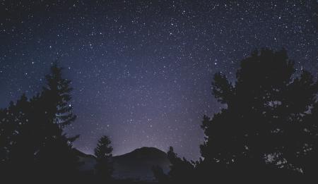 Silhouette of Trees and Mountain