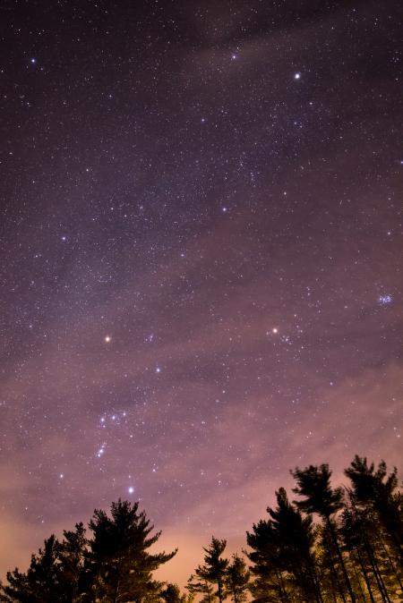 Silhouette of Trees during Night Time