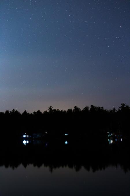 Silhouette of Trees Reflecting on Body of Water Under Starry Night Skies