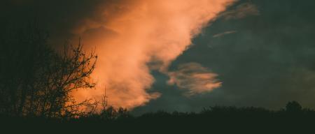 Silhouette of Trees Under Blue Sky With White Clouds