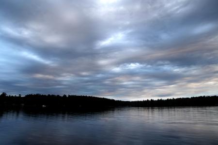 Silhouette of Tress Beside Body of Water on Cloudy Day