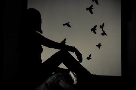 Silhouette of Woman Sitting on Window Watching Birds Flying