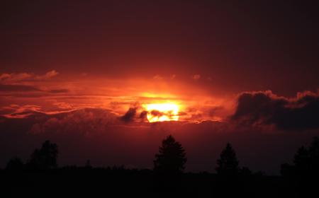 Silhouette Photo of a Sky and Trees