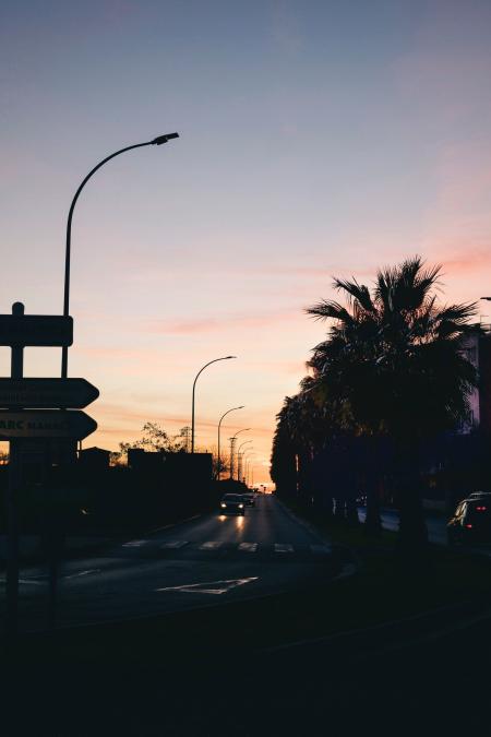 Silhouette Photo of Road Between Majesty Palm