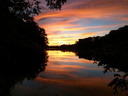 Silhouette Photography of Body of Water Between Trees during Golden Hour