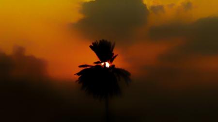 Silhouette Photography of Clouds