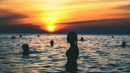 Silhouette Photography of People Swimming on the Beach during Golden Hour