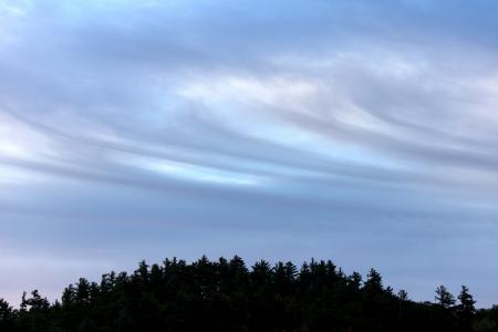 Silhouette Photography of Trees