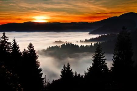 Silhouette Photography of Trees and Mountain