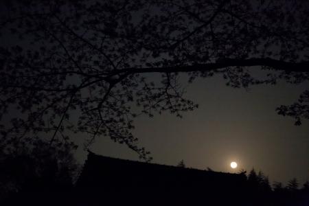 Silhouettes of Japan