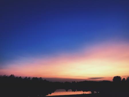 Silhouettes of Trees During Dawn