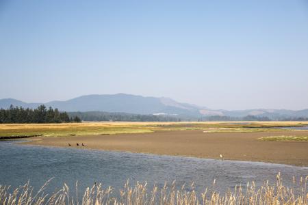 Sitka Sedge State Natural Area, Oregon