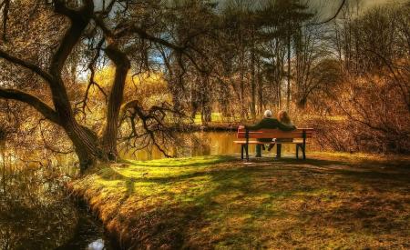 Sitting on the Bench