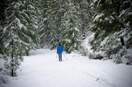 Skiing through the Wild