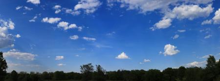 Sky and tree tops